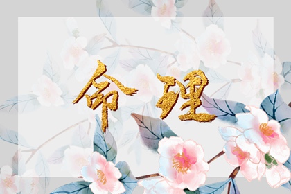 农历黄历|农历黄历万年历|农历黄历万年历2026